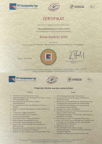 TSY_Zertifikat